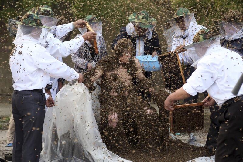 Gao Bingguo is covered with bees during an attempt to break the Guinness World Record for being covered by the largest number of bees, in Taian, Shandong province. Gao set a new record after having had 326,000 bees on his body at one time, according to local media. Reuters
