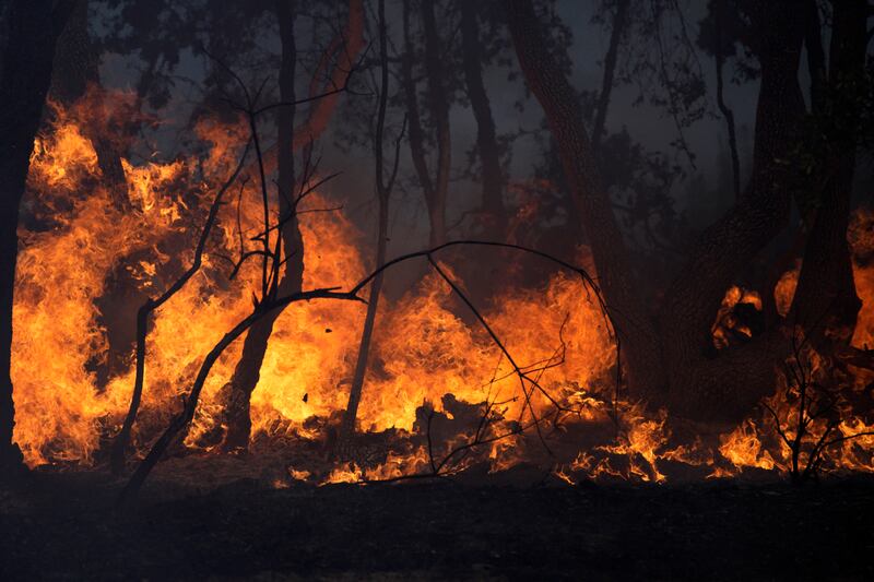 A burning forest is pictured near Le Luc, southern France, on Wednesday. AP