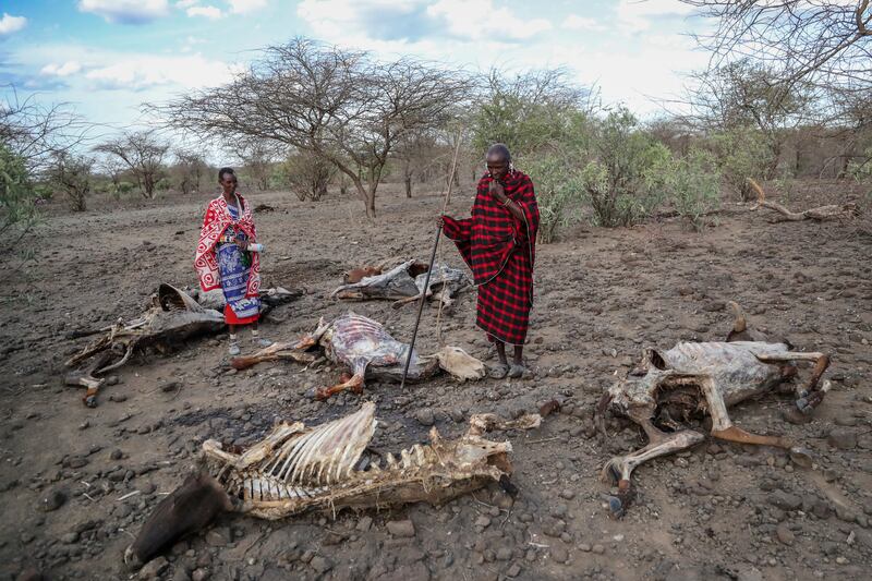 Saito Ene Ruka (R) who said he had lost 100 cows to drought, and his neighbour Kesoi Ole Tingoe, who lost 40, near Lake Magadi, Kenya. AP