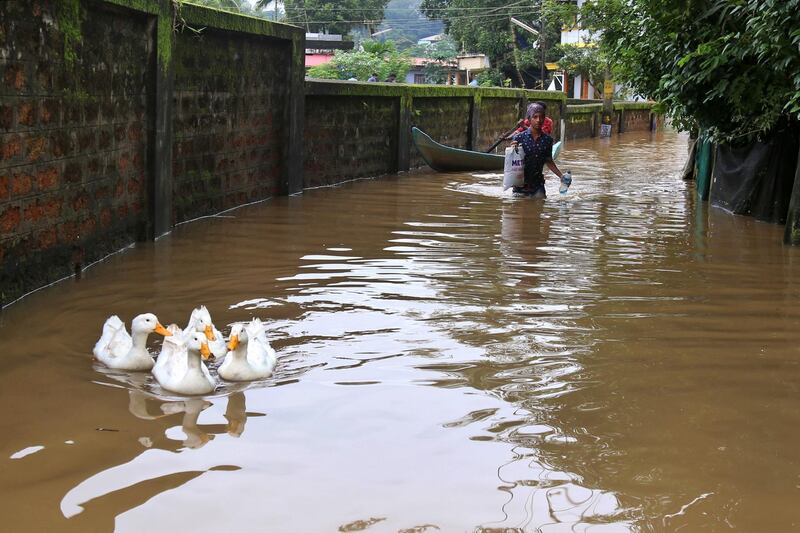 People wade through a flooded street as a flock of geese float in the water.  EPA