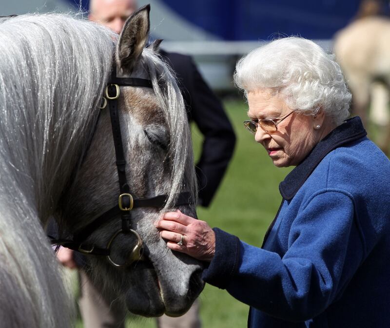 Queen Elizabeth at the Royal Windsor Horse Show in Berkshire in May 2011. The queen, who had a lifelong passion for horses, was a keen racegoer as well as a successful owner and breeder who enjoyed many notable triumphs. AFP