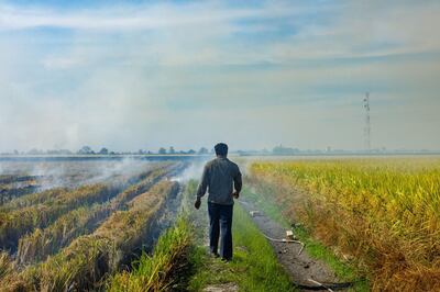 Malaysia and other Southeast Asian countries are grappling with record temperatures. Selangor, Malaysia, May 20, 2023. Bloomberg 