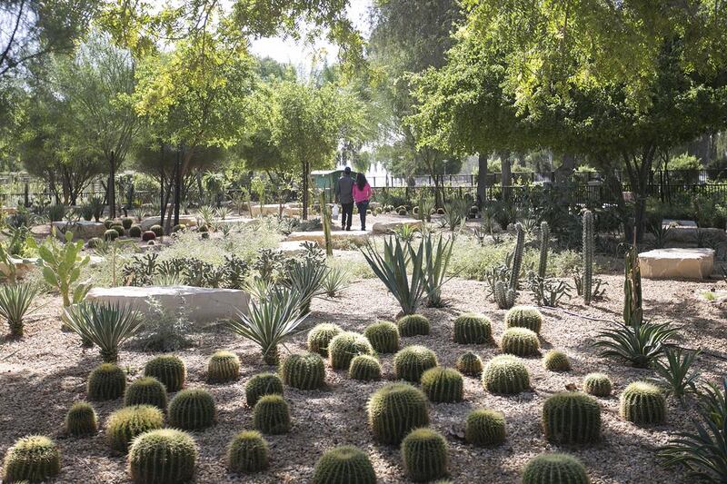 Umm Al Emarat Park has been awarded for its commitment to sustainability, community involvement, cleanliness, safety, conservation and heritage. Mona Al Marzooqi / The National  