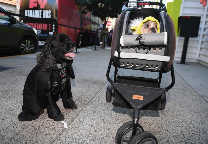 Dogs dressed as Darth Vader and Yoda from "Star Wars" outside the San Diego Convention Center. AFP