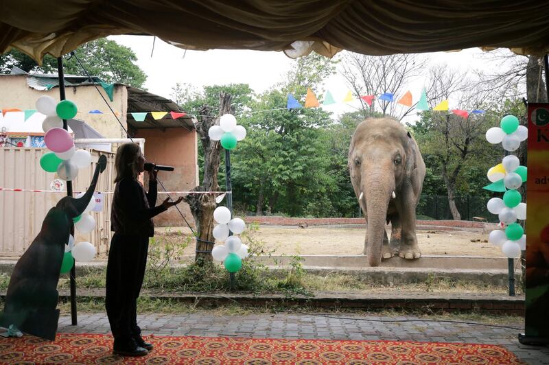 A singer performs during a farewell ceremony for Kaavan after 35 years at Marghazar Zoo in Islamabad, Pakistan. Reuters