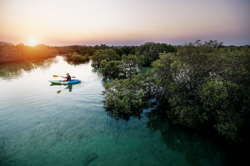 Kayaking in the mangroves in Abu Dhabi. The UAE is recording a surge in its travel and tourism sector. Photo: DCT Abu Dhabi