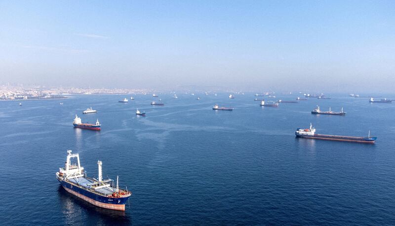 Commercial ships that are part of the Black Sea grain deal wait to cross the Bosphorus strait. Reuters