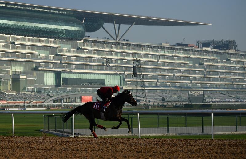 DUBAI, UNITED ARAB EMIRATES - MARCH 29: Prince of Arran during track work day prior to Dubai World Cup 2018 at the Meydan Racecourse on March 29, 2018 in Dubai, United Arab Emirates.  (Photo by Tom Dulat/Getty Images)