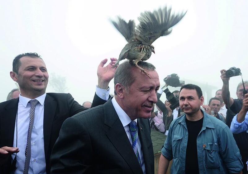 A grouse alights on the head of Turkish president Recep Tayyip Edogran. Reuters / August 14, 2015