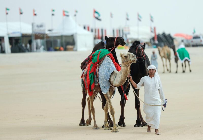 Abu Dhabi, United Arab Emirates, December 10, 2019.    Al Dhafra Festival 2019.A camel handler at the Al Dhafra camp sites.Victor Besa/The NationalSection:  NAReporter:  Anna Zacharias