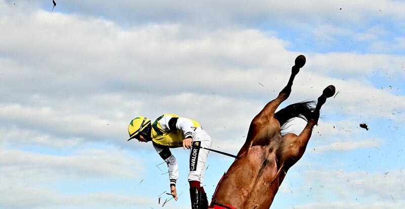 Meath , Ireland - 13 April 2021; Jockey Conor Orr falls from Castlebellingham during the Fairyhouse Evening Racing May 28th Beginners stepplechase at Fairyhouse Racecourse in Ratoath, Meath. (Photo By David Fitzgerald/Sportsfile via Getty Images)