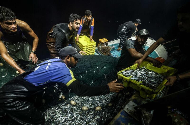 Mohammed Al Nahal and fellow Palestinian fishermen unload their catch from a boat, upon their return to the coast of Gaza city.