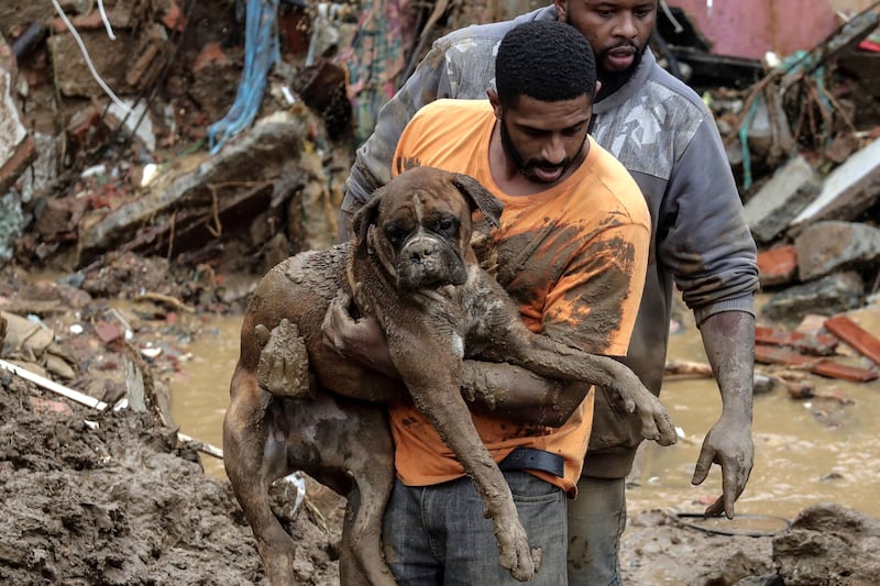 A man rescues a dog amid the damage caused by the heavy rains. EPA