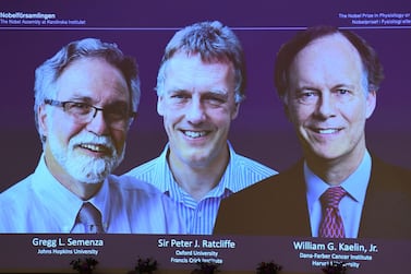 The winners of the 2019 Nobel Prize in Physiology or Medicine from left to right Gregg Semenza of the US, Peter Ratcliffe of Britain and William Kaelin of the US appear on a screen during a press conference at the Karolinska Institute in Stockholm, Sweden. AFP