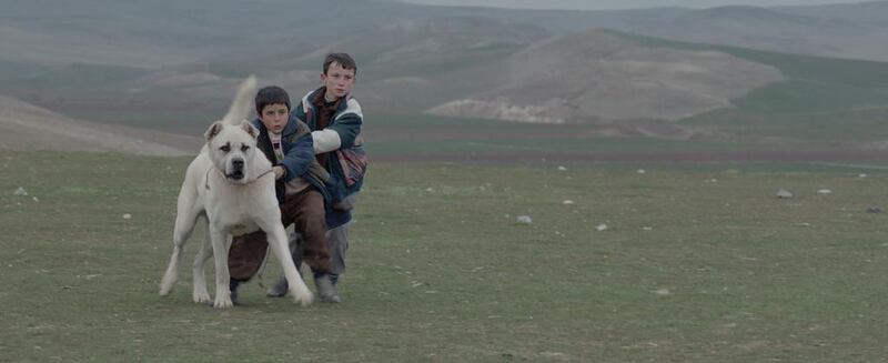 A scene from the Turkish Film Sivas by Kaan Mujdeci, screening at the 2014 Abu Dhabi Film Festival. Courtesy Abu Dhabi Film Festival  