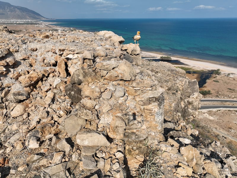 Remains of the Islamic fort of Jebel Hawari, Socotra, 
Yemen. All Photos: Julian Jansen van Rensburg