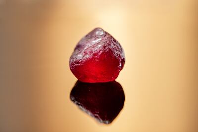 The rough ruby could sell for tens of millions of dollars. Photo: Fura Gems