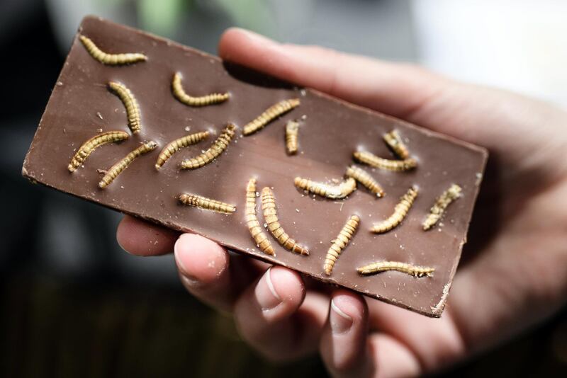 epa06481271 Chocolate containing insects at the stand of the International Centre of Insect Physiology and Ecology Nairobi during the last day of the International Green Week IGW (Internationale Gruene Woche) fair in Berlin, Germany, 28 January 2018. The 83rd international annual exhibition for the food, agricultural and horticultural industries, which was established in 1926, takes place from 19 to 28 January in the German capital.  EPA/CLEMENS BILAN