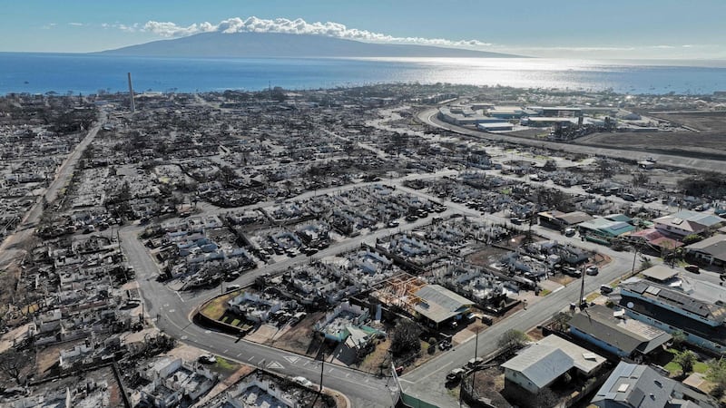 Burned cars and homes in a neighbourhood of Lahaina, Hawaii that was destroyed by a wildfire that killed at least 111 people early last week. AFP