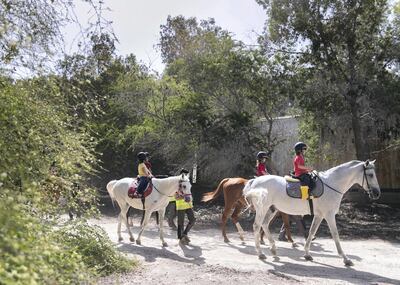 ABU DHABI, UNITED ARAB EMIRATES. 18 MARCH 2020.
Children riding horses in Al Samha with Ride to Rescue project.

Yasmin Sayyed runs Ride to Rescue. She has taken in 17 rescued horses who would normally be euthanized, and she tries to offset the cost of their care by offering the public healing sessions where they ride or walk with them. 

(Photo: Reem Mohammed/The National)

Reporter:
Section: