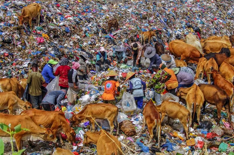 People search for items to sell at the Alue Liem landfill in Sumatra, Indonesia. AFP