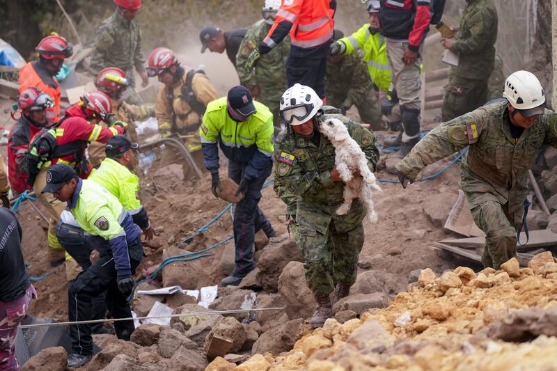 A soldier rescues a dog from the rubble of buildings destroyed by a landslide that buried dozens of homes in Alausi, Ecuador. AP