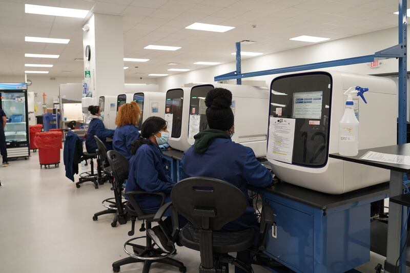 A row of scientists study QPCR machines at Mako Medical Laboratories. Willy Lowry / The National.