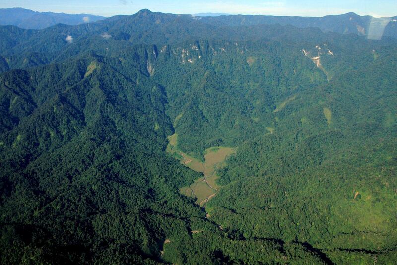 ACEH, INDONESIA - MARCH 21: Aerial view of rainforest Leuser Mountain National Park which is one of the national parks listed in UNESCO as a World Heritage Site, the Tropical Rainforest Heritage of Sumatra in Aceh, Indonesia on March 21, 2017.  (Photo by Junaidi Hanafiah/Anadolu Agency/Getty Images)