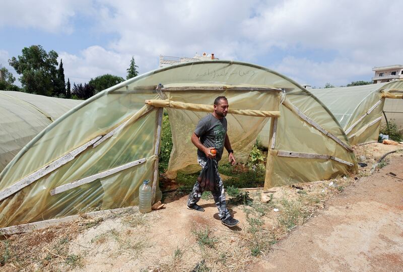 Shreim learned how to set up greenhouses by watching YouTube videos.