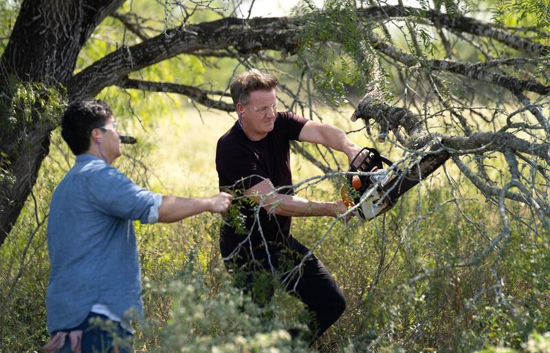 TX - Texan chef, Justin Yu (L), and Gordon Ramsay cut mesquite wood in Texas. (Credit: National Geographic/Justin Mandel)