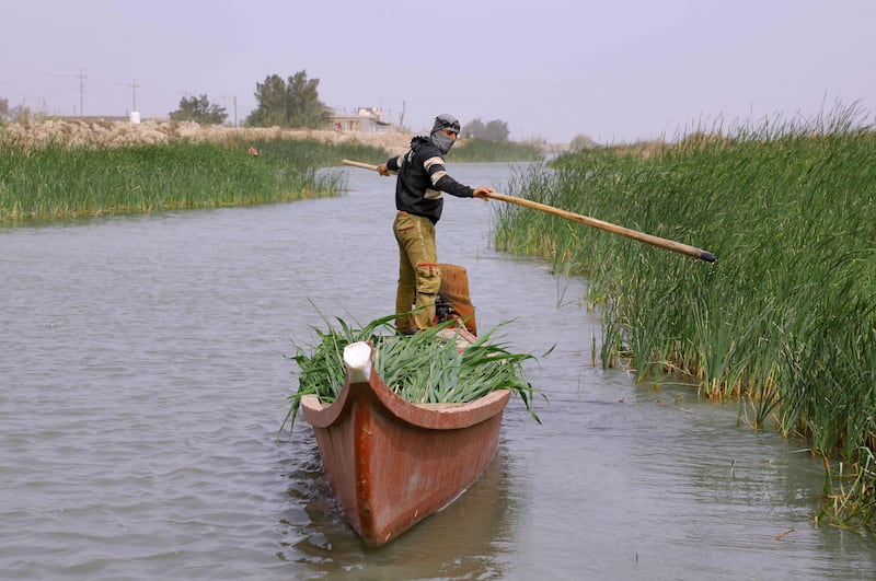 A man transports his harvest down stream.