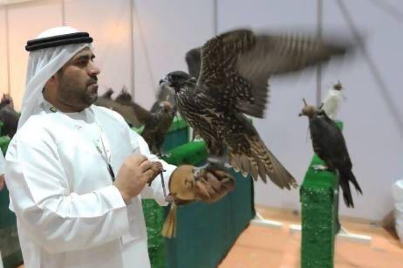 The look of love: a visitor to Adihex admires one of the falcons on show in the falcon beauty contest yesterday. Ravindranath K / The National