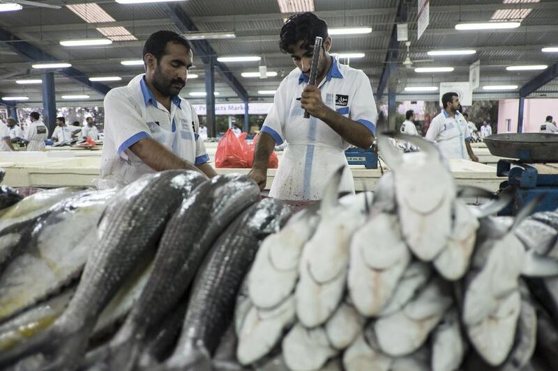 Shark sales in UAE fish markets are strictly regulated. Antonie Robertson / The National