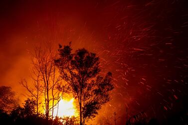 A fire burns through vegetation in Palangkaraya, Central Kalimantan, Indonesia this week. Fully Handoko / EPA