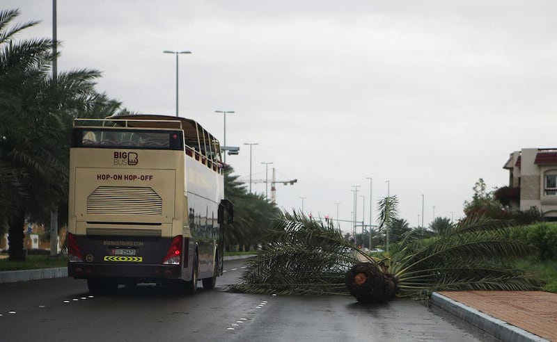 Trees were uprooted on 29th Street in Abu Dhabi. Ravindranath K / The National