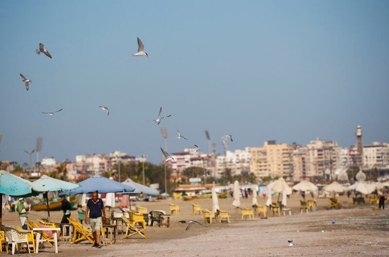 A flock of seagulls fly along a beach by the Red Sea shore in Port Said.
