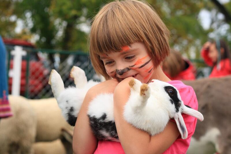 Permanent and pop-up petting zoos are popular in the UAE and are legitimate businesss, commonly found at markets and fairs. Getty Images