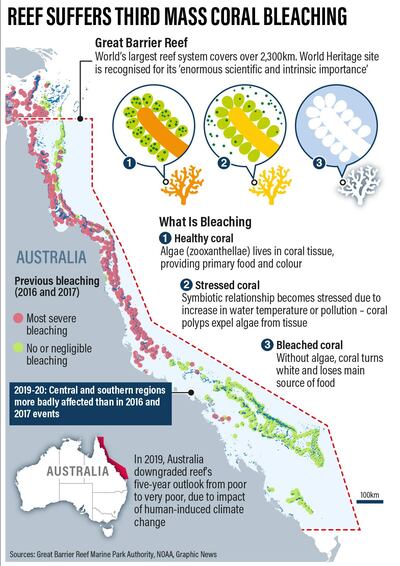 Coral bleaching graph. Courtesy Great Barrier Reef Marine Park Authority, NOAA