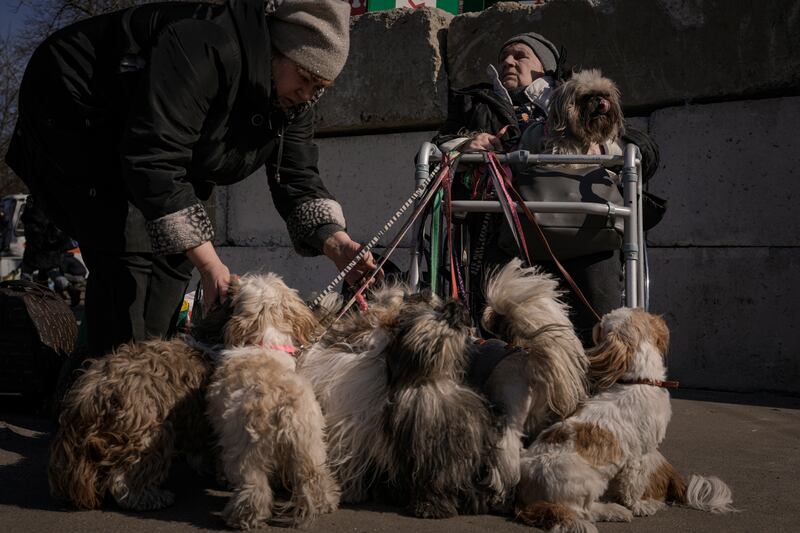 Antonina, 84, sits in a wheelchair and holds her 12 dogs at a triage point in Kyiv after fleeing Irpin. AP