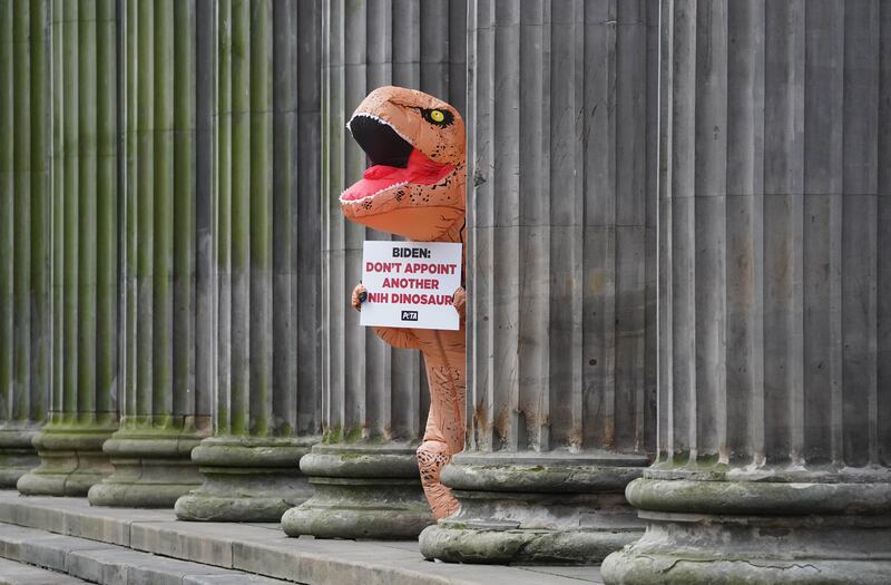 A protester dressed as a dinosaur roars outside the Gallery of Modern Art in Glasgow. PA