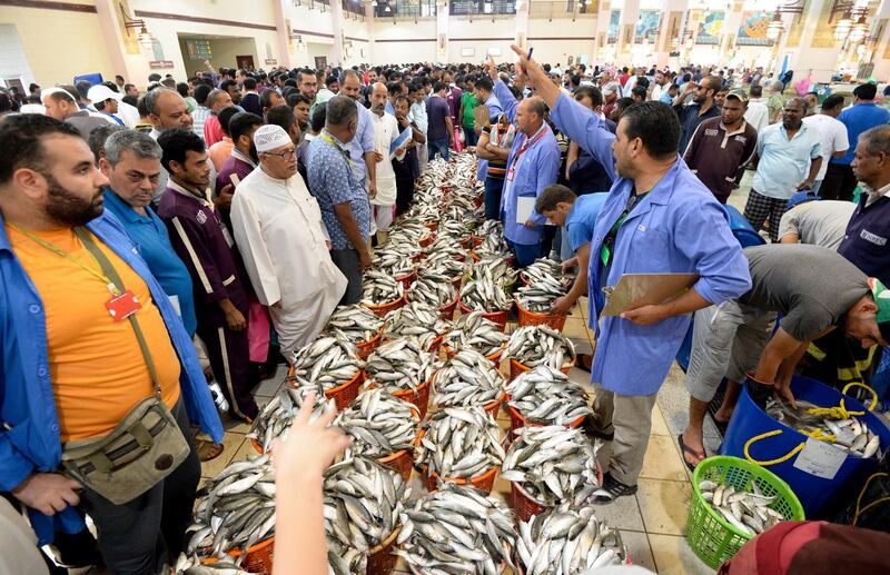 Customers bid on baskets of Mullet fish which is known locally as the 'Maid' that are auctioned in the Kuwait Fish market, in Kuwait City, Kuwait.  EPA