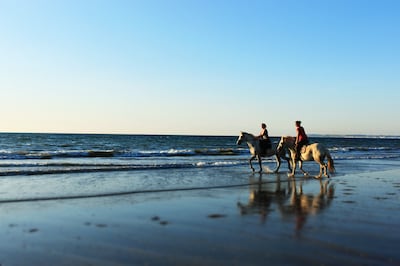 Horses can often be seen galloping down the beach in Deauville. Photo: Delphine Barre Lerouxel 