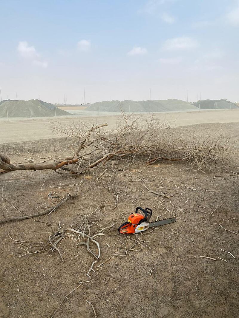 Almost 30 fines were issued by Sharjah environmental authorities for soil razing, damage to vegetation, and logging. Courtesy: Environment and Protected Areas Authority