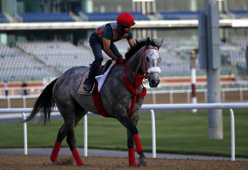 A jockey rides X Y Jet, a racehorse from the USA trained by Jorge Navarro, on the track at the Meydan Racecourse during preparations for the Dubai World Cup 2016 in Dubai, United Arab Emirates, 23 March 2016. The 21st edition of the Dubai World Cup will take place on 26 March 2016.  EPA/ALI HAIDER