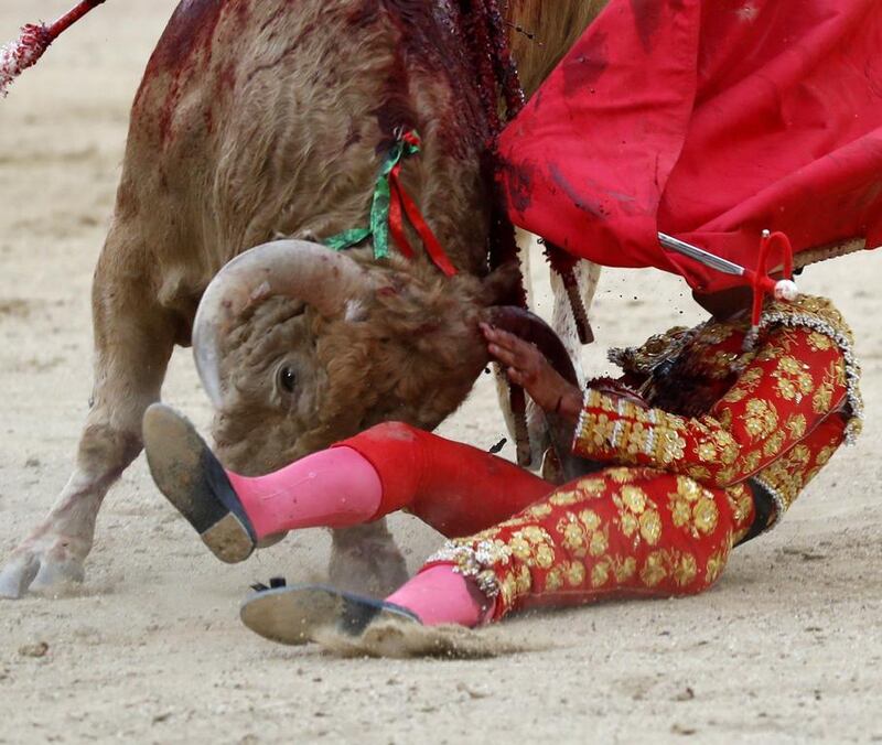 Spanish apprentice bullfighter Diego Carretero is gored at Las Ventas bullring in Madrid.  Chema Moya / EPA
