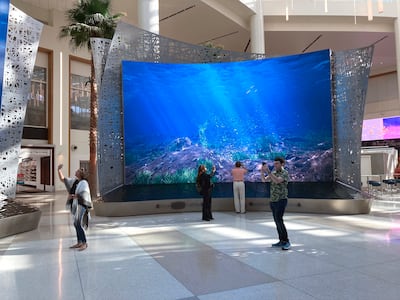 LED screens show underwater springs and blue skies in the new terminal at Orlando International Airport. AP 