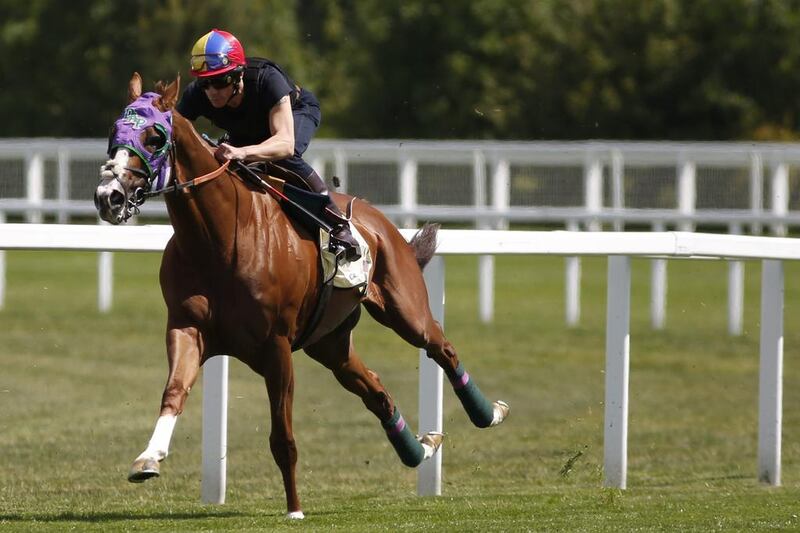 Frankie Dettori riding California Chrome turn right into the straight in a gallop prior to racing at Royal Ascot at Ascot racecourse on Thursday. Alan Crowhurst / Getty Images