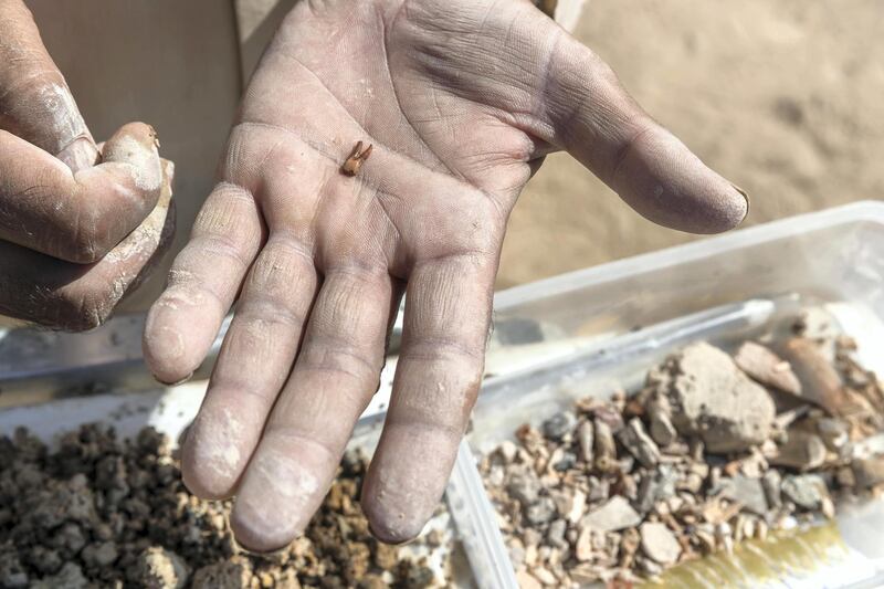 AL AIN, UNITED ARAB EMIRATES. 19 November 2017. Tour of the historically important archaeological site in Hili, Al Ain. Workers use a water sifting method to seperate artifacts from the excavated soil. These artifacts could in turn lead to new discoveries about the history of the site. (Photo: Antonie Robertson/The National) Journalist: John Dennehy. Section: Weekend.