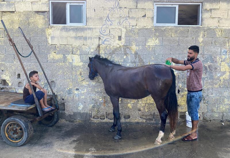 A Palestinian man washes his horse at Beach refugee camp in Gaza City. Reuters