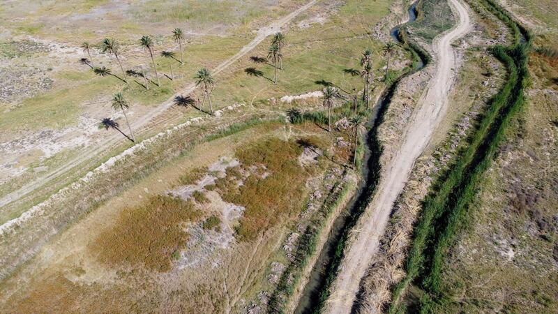 An orchard in Diyala province, which borders Iran, has dried out. Iraq says the situation in the province will worsen without an agreement with Iran to share the damage caused by lower water flows.